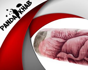 قیمت پتو دو نفره خارجی گناوه