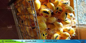 پخش بالش پشم شیشه | فروش اینترنتی بالش استیکری فانتزی عمده | پاندا