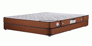 لیست قیمت تشک طبی فنری دو نفره تهران