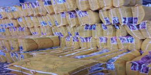 قیمت انواع تشک مهمان ارزان تولیدی پاندا