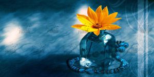 قیمت روبالشی زیپ دار مخمل سه بعدی